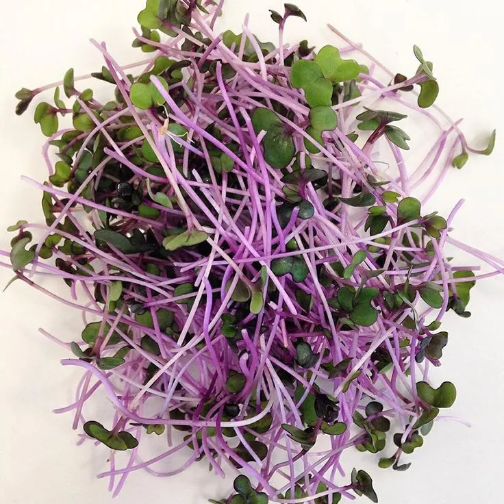 microgreens