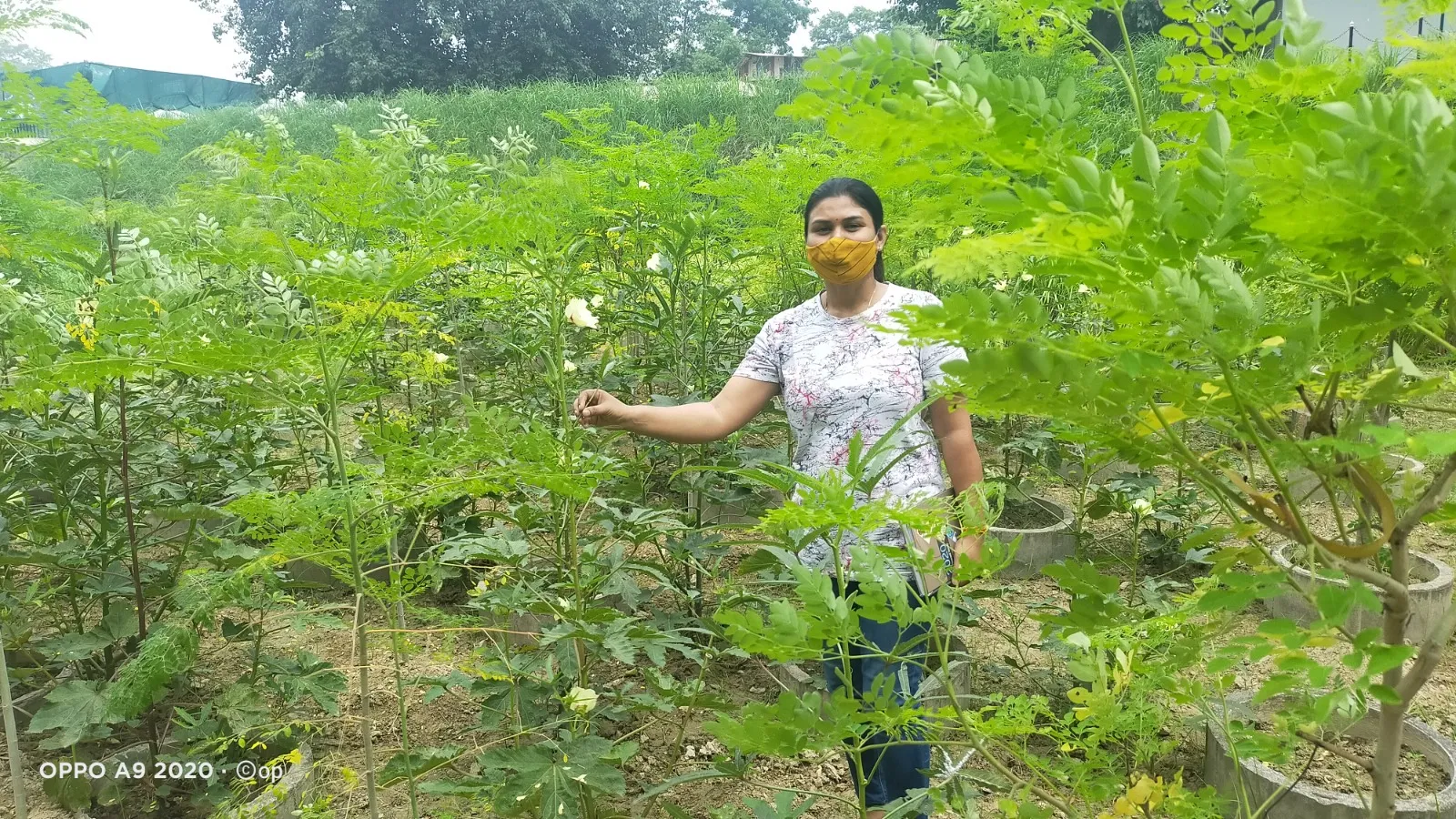 Kamini Singh's journey of becoming a farming entrepreneur in Lucknow.