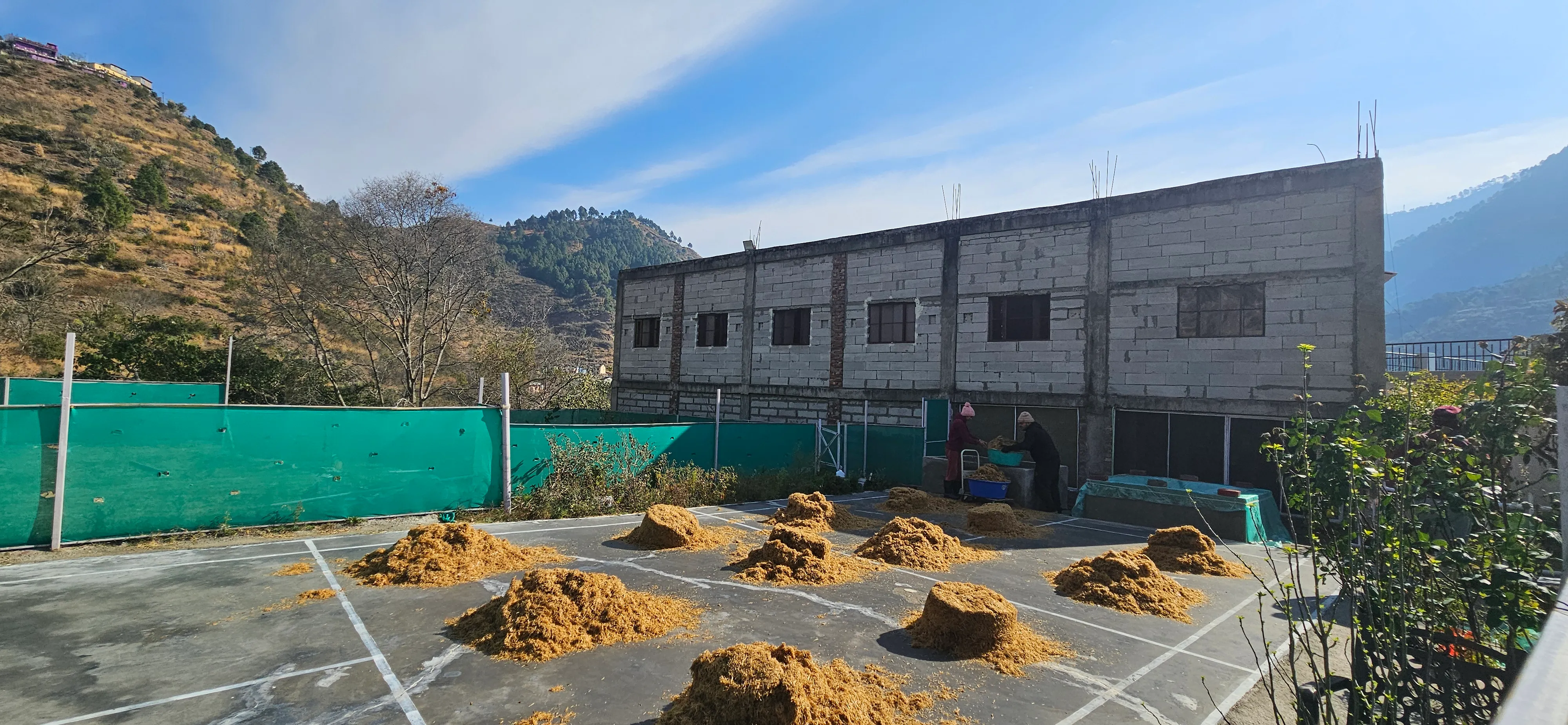 The Project Mushroom in Uttarakhand
