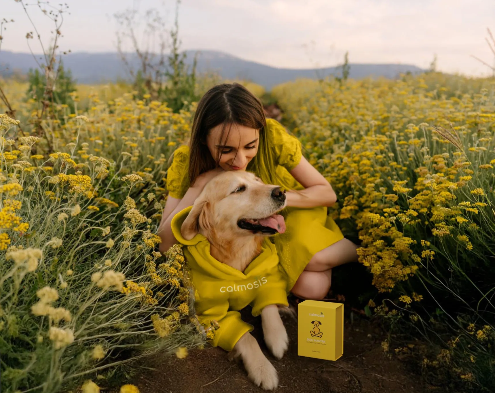 Calmosis is an Ayurveda-based wellness startup founded in 2023.