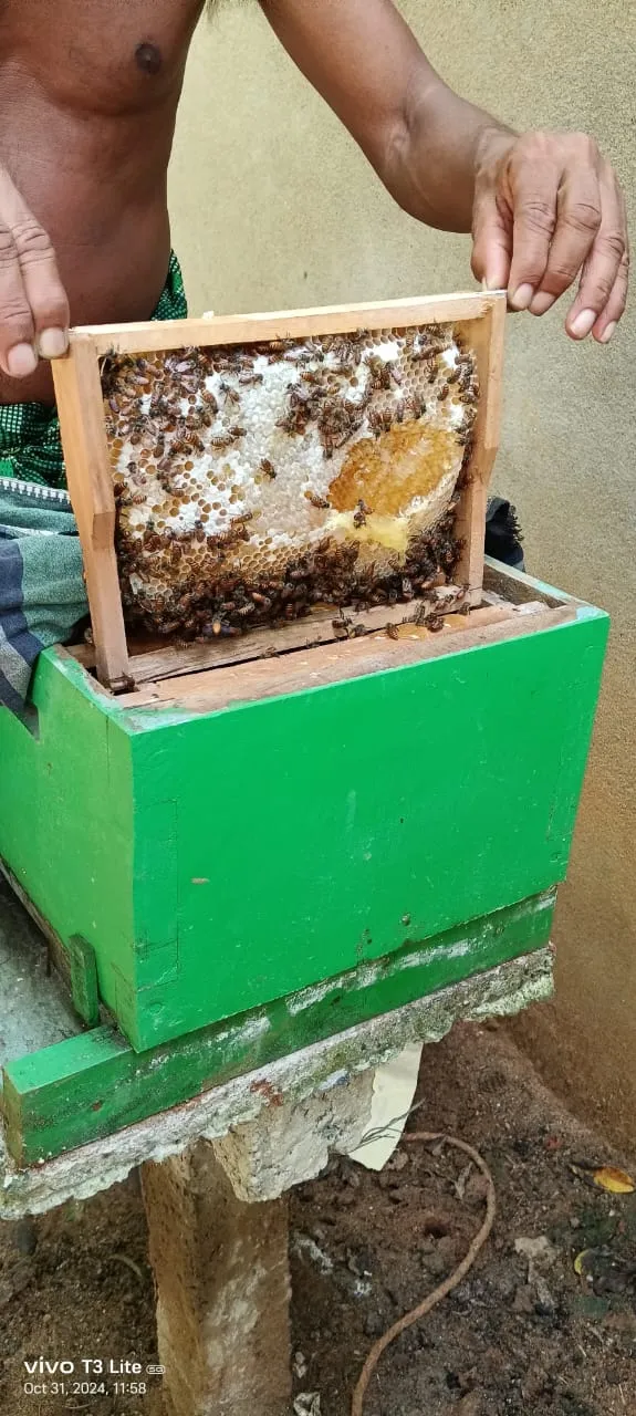 Minibala Beekeeping Production Unit