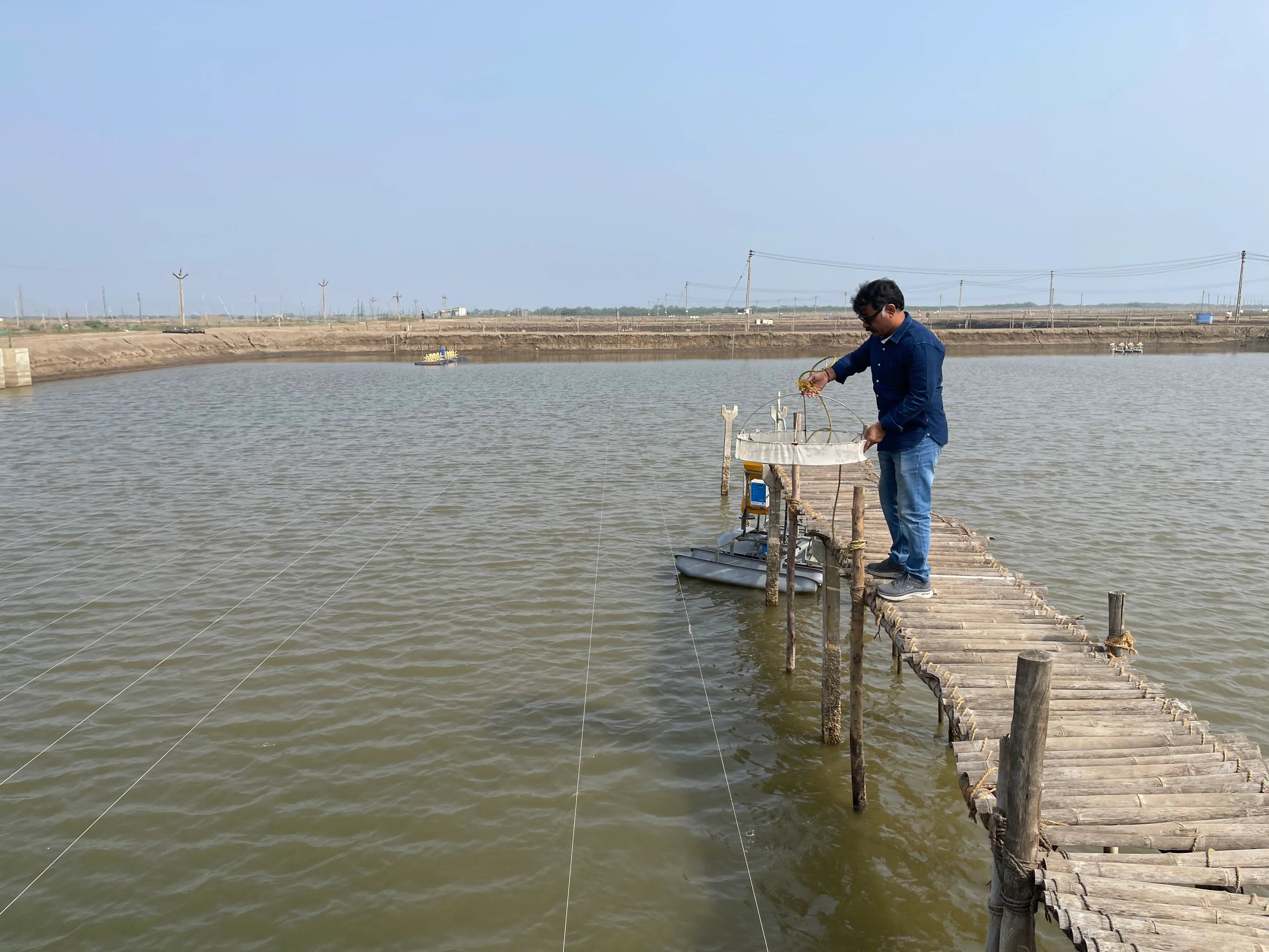 Dr Manoj Sharma at his farm
