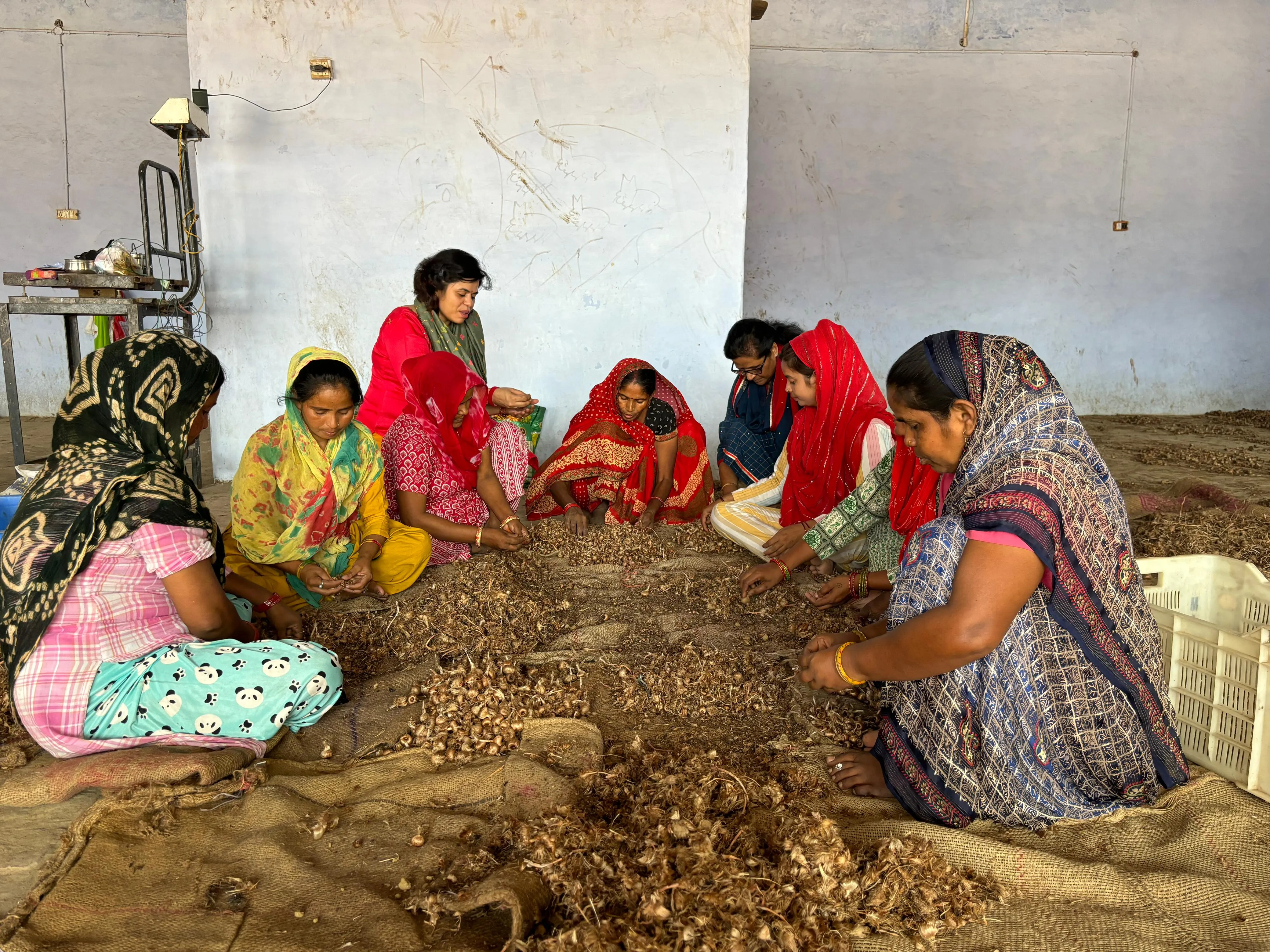 Saffron Farmers