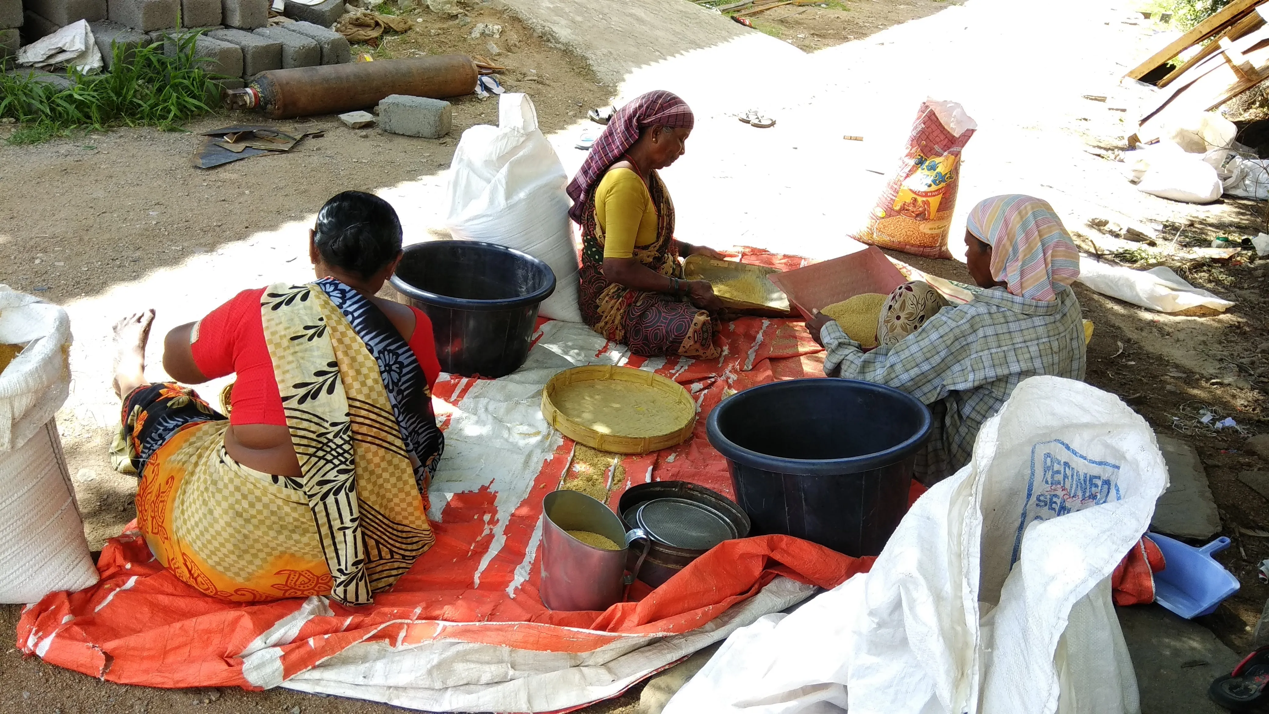 Traditional Method of Cleaning Millet Rice