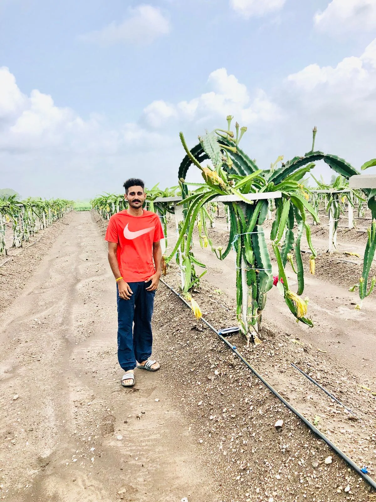 Amandeep Singh Farm