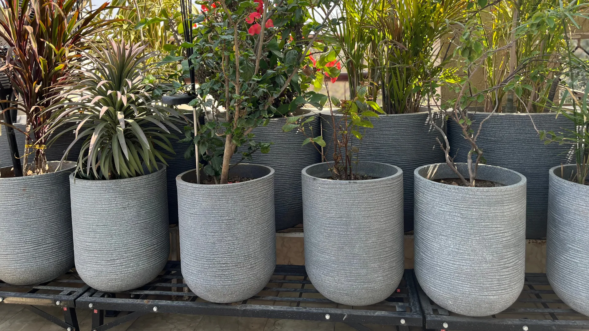 Eco Friendly Planters