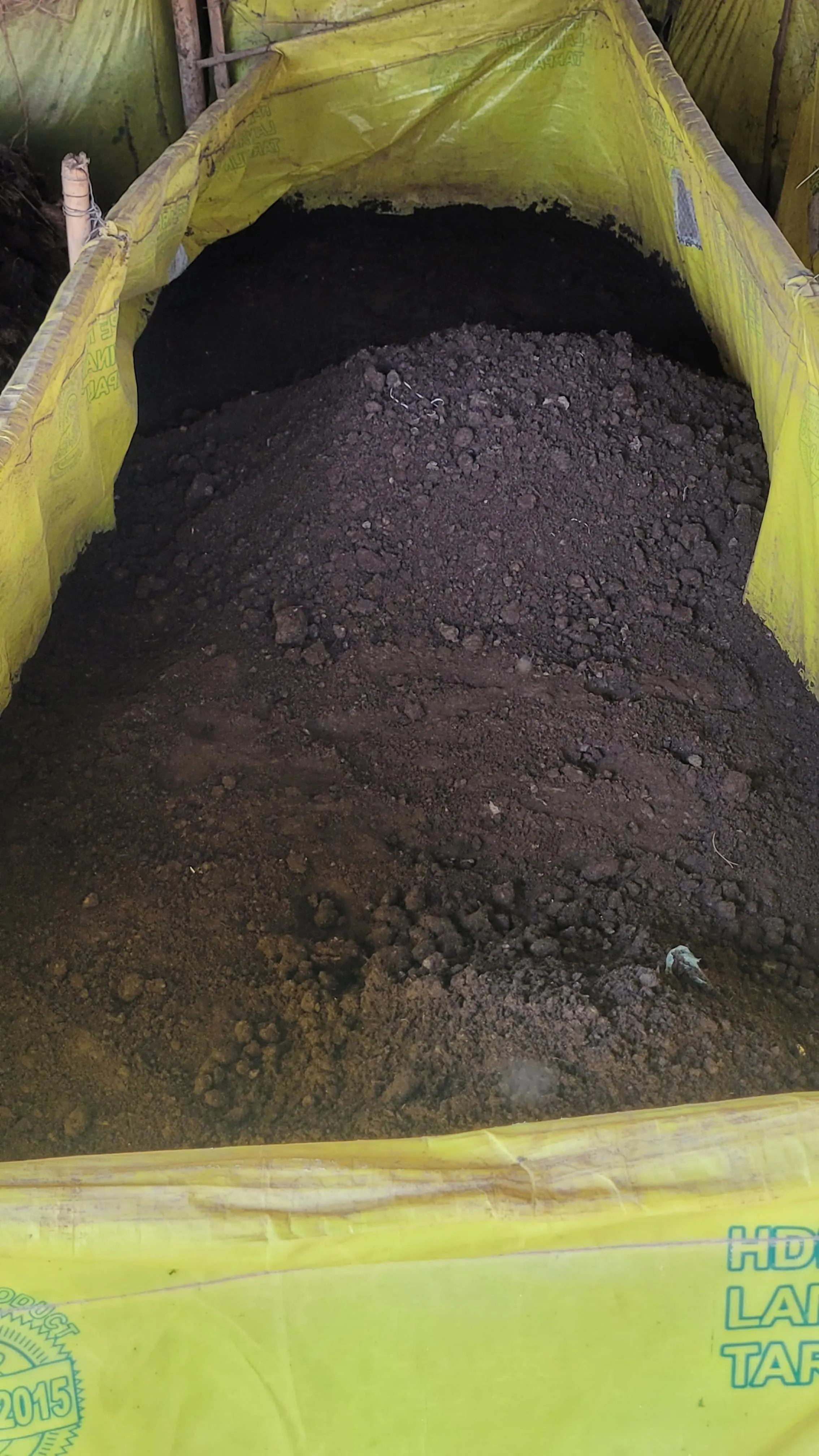 Banana vermicompost