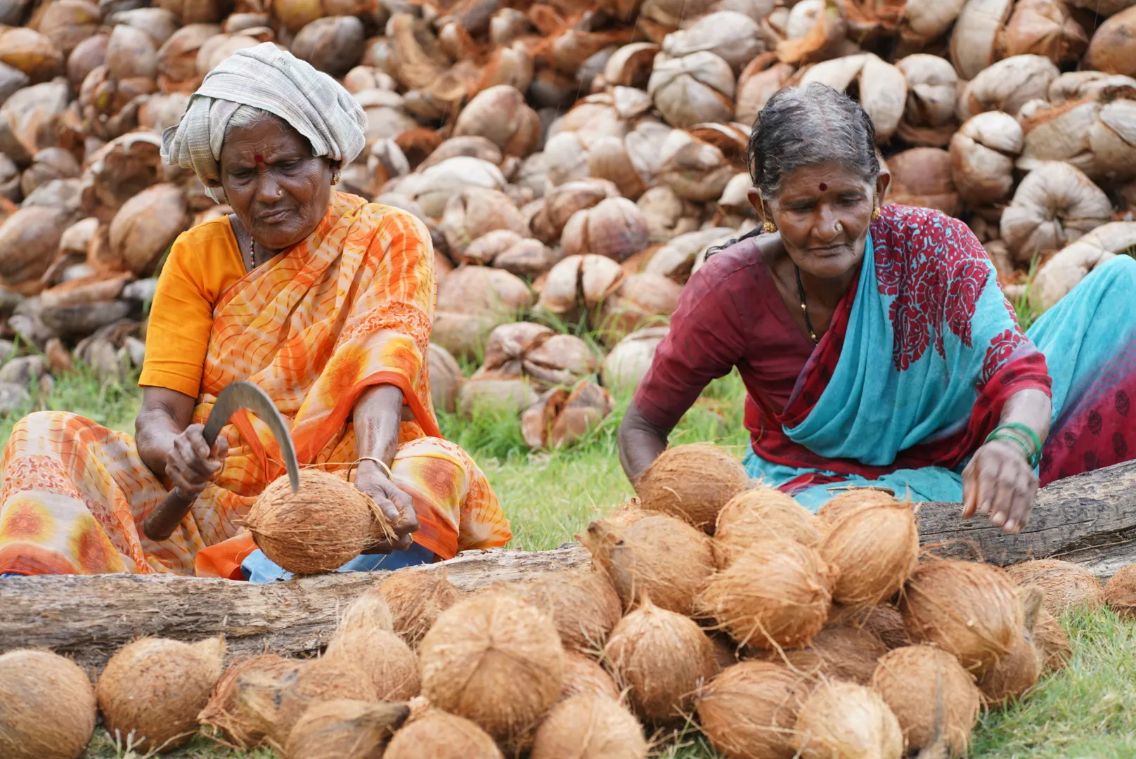 Tengin Farmers