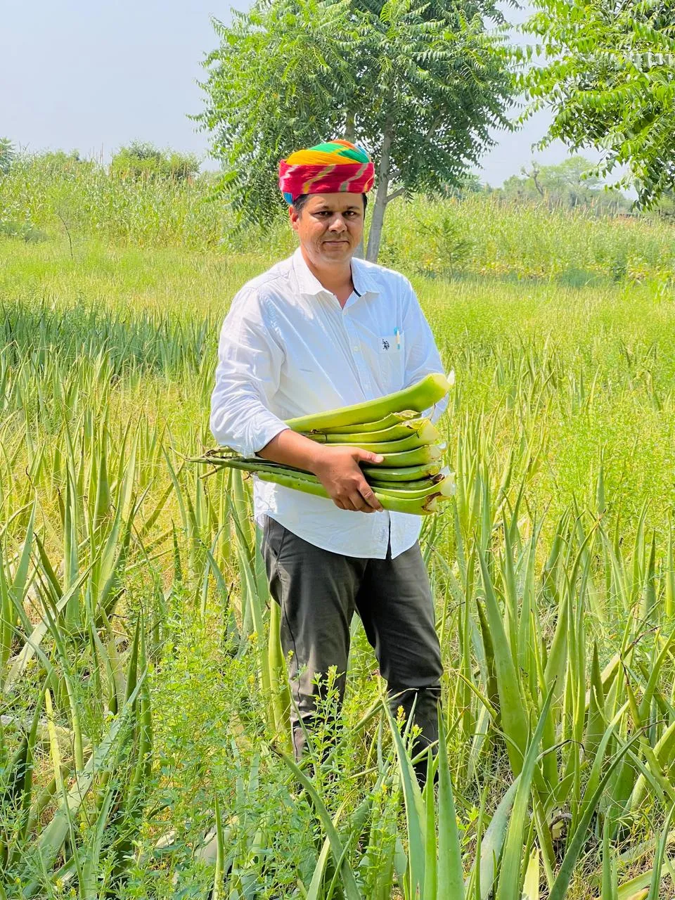 Rakesh Choudhary with Aloe Vera