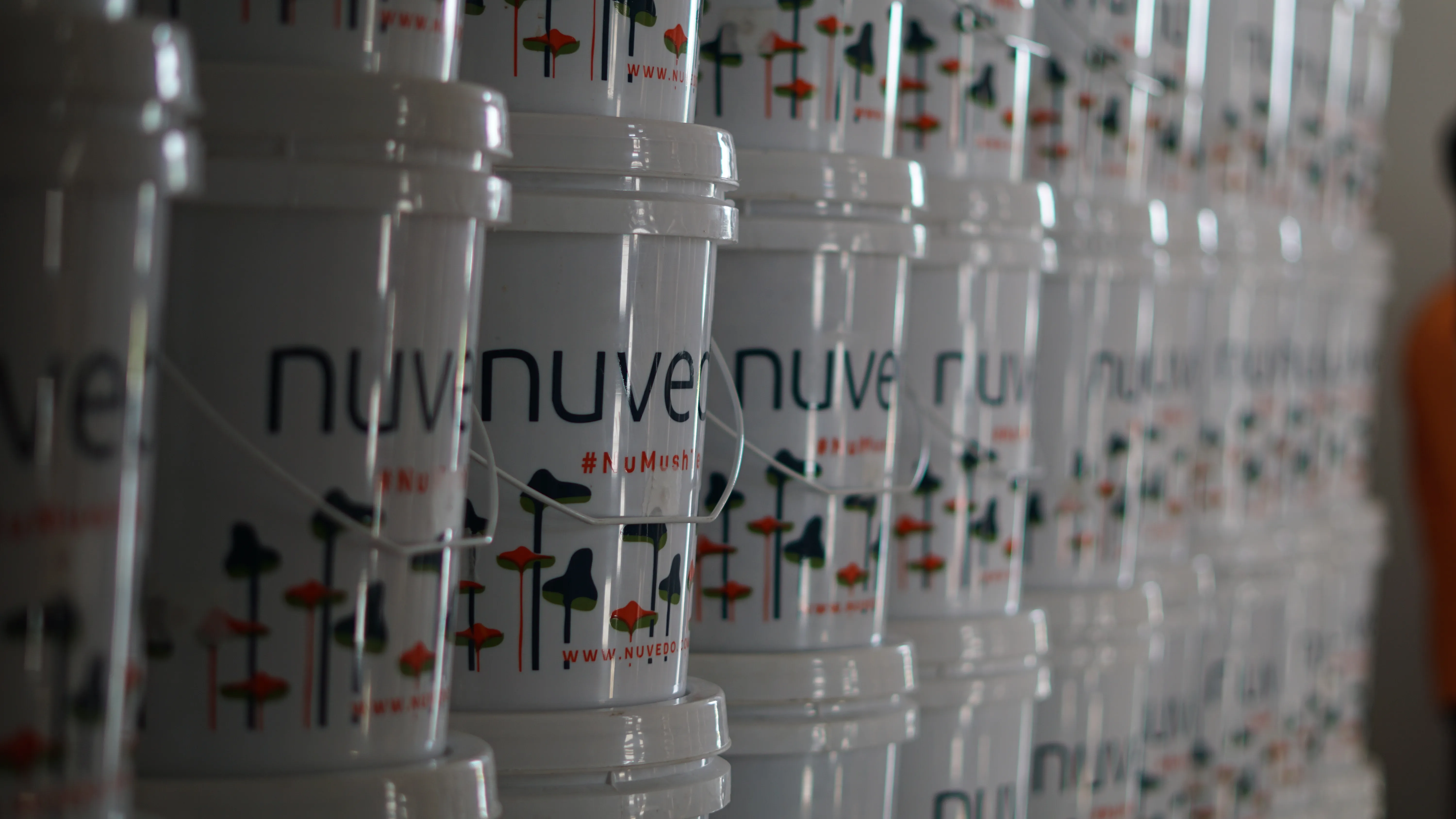 Nuvedo's mushroom extracts