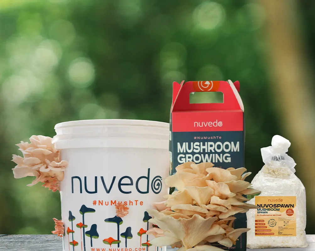 Nuvedo Mushroom Growing Supplies
