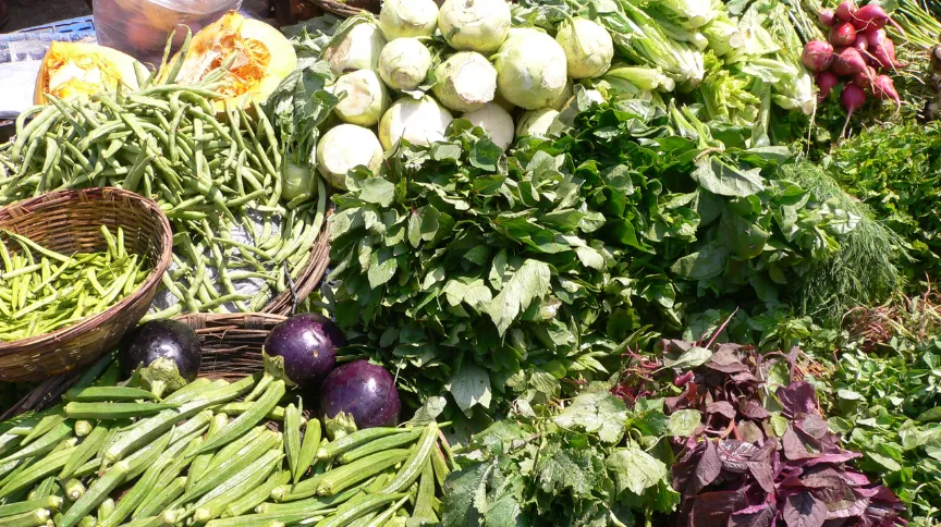 indian vegetables