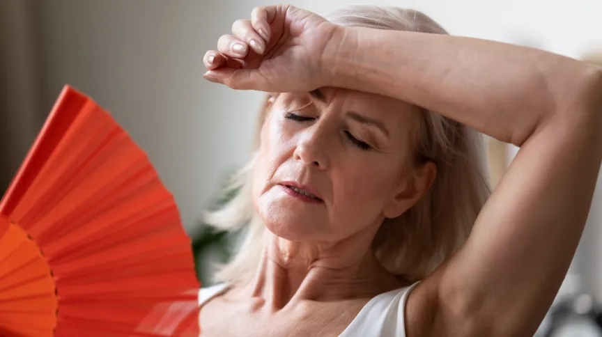 menopause hot flash