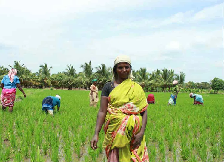 பெண் விவசாய கூலிகள்