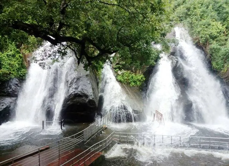 Tamil Nadu Rains and Weather LIVE, தமிழகத்தில் மழை, தென்காசி. குற்றால அருவி 