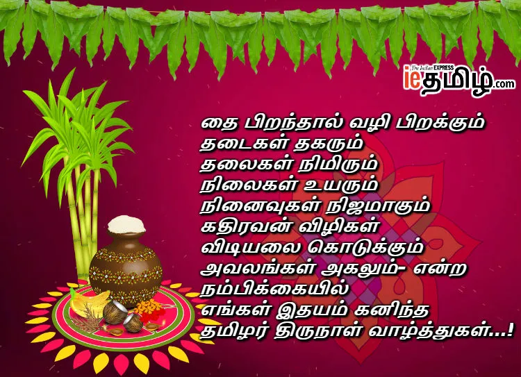 Pongal 2019 Wishes