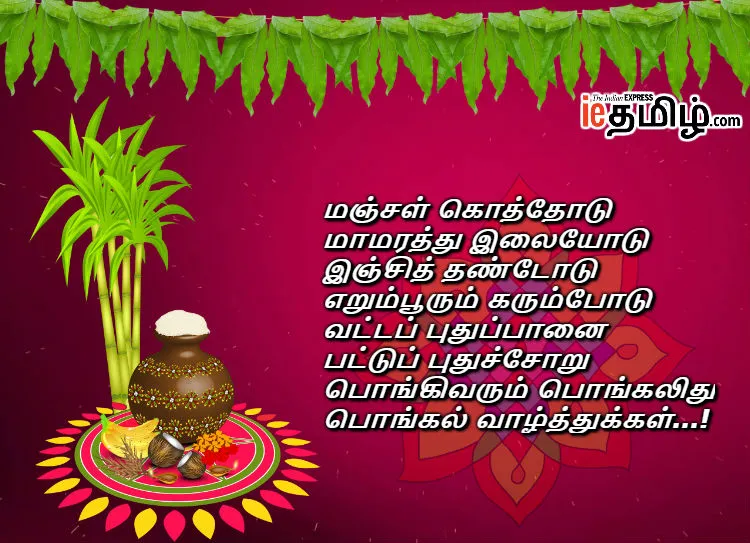 Pongal 2019 Wishes
