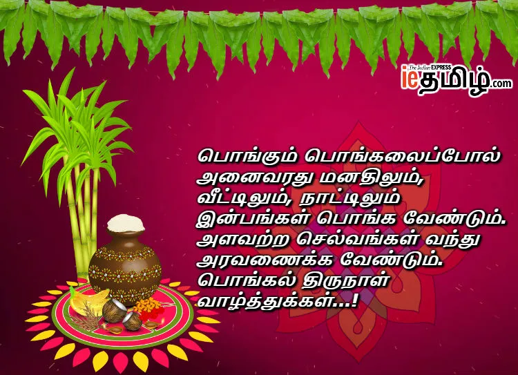 Pongal 2019 Wishes