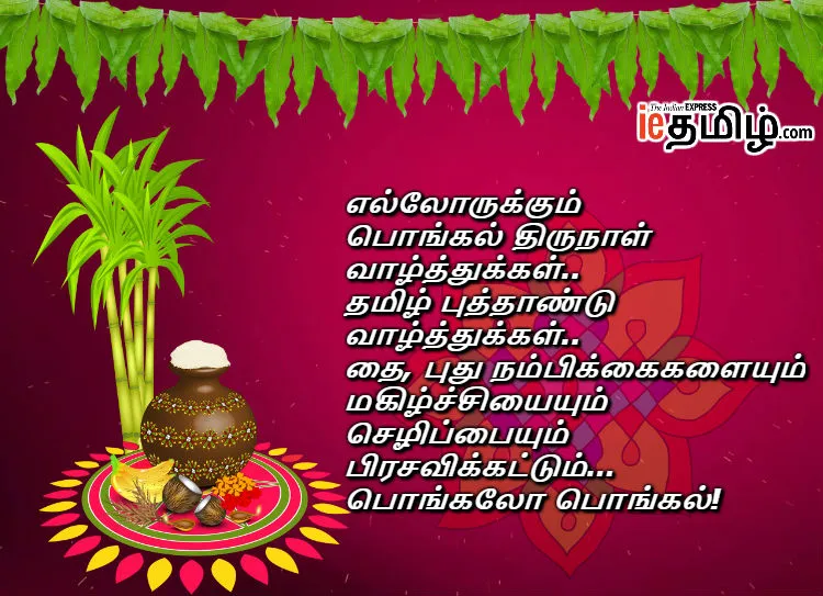 Pongal 2019 Wishes