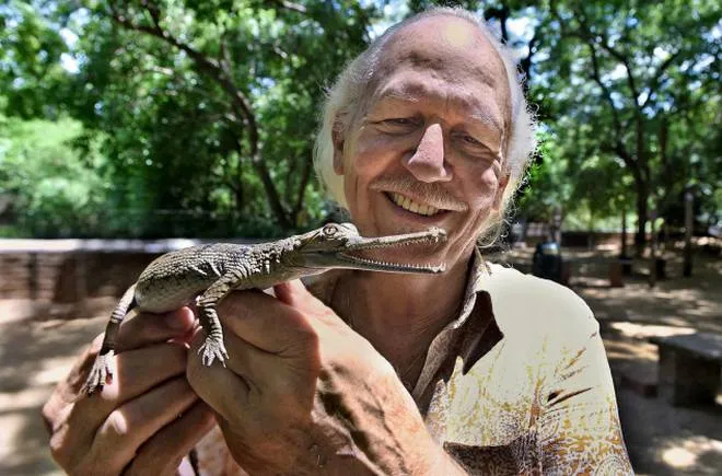 Herpetologist Rom Whitaker 