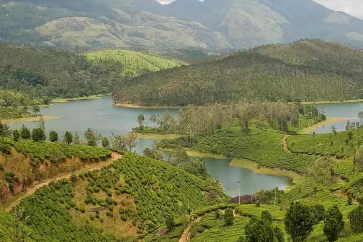 yelagiri, vellore, natural scenary, chennai, bengaluru, yelagiri hills, falls, ஏலகிரி, வேலூர், இயற்கை காட்சிகள், சென்னை, பெங்களூரு, ஏலகிரி மலை, நீர்வீழ்ச்சி