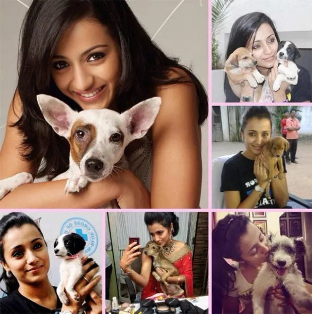 Celebrities with their pet dogs