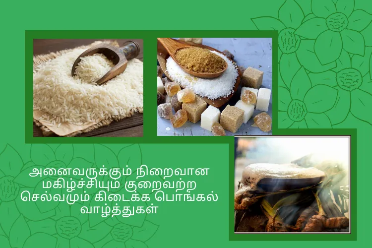 Happy Pongal 2020 Wishes Images, Quotes, Status, Whatsapp Messages