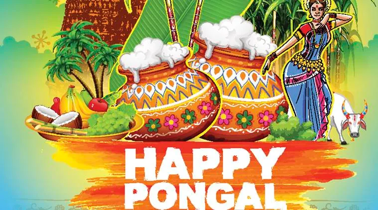Thai Pongal 2020 Wishes: Best Pongal SMS, WhatsApp, Facebook messages
