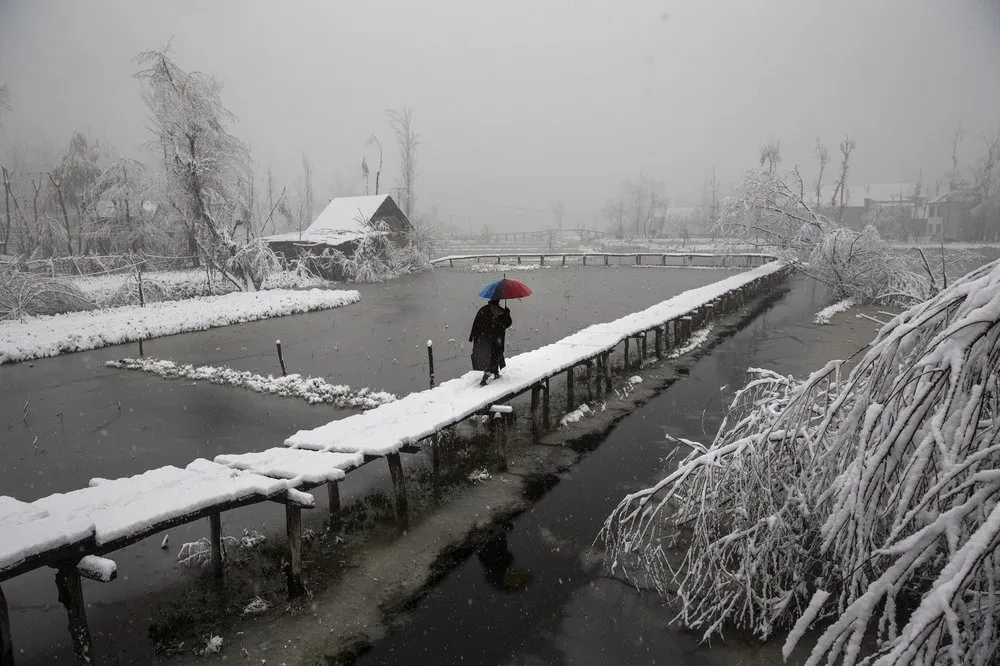 3 Jammu Kashmir Photojournalists win Pulitzer prize for photography