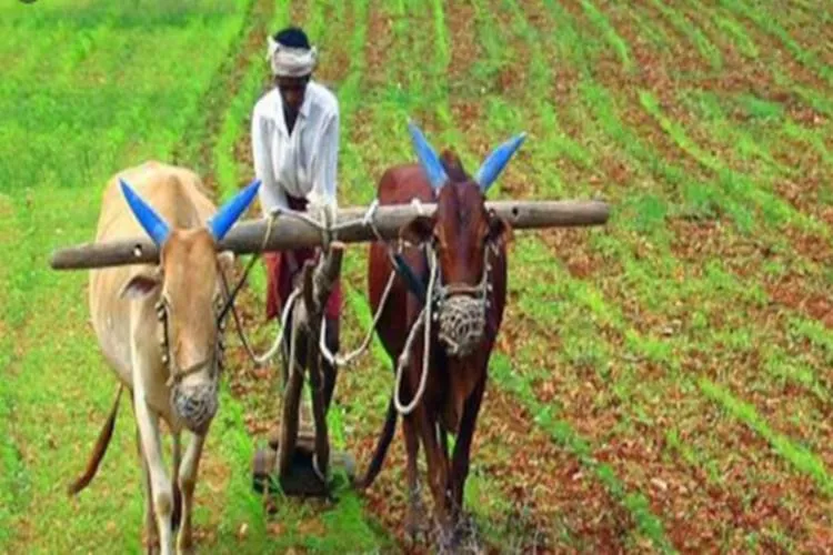 PM-Kisan, பிஎம்-கிஸான், Pradhan Mantri Kisan Samman Nidhi Yojana, PM Kisan Mandhan Yojana