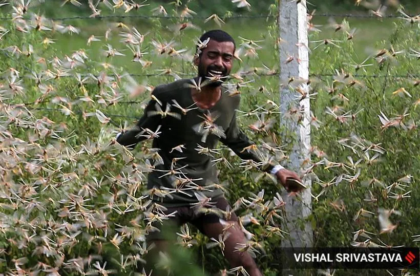 world photography day, some memorable photos for the current situation