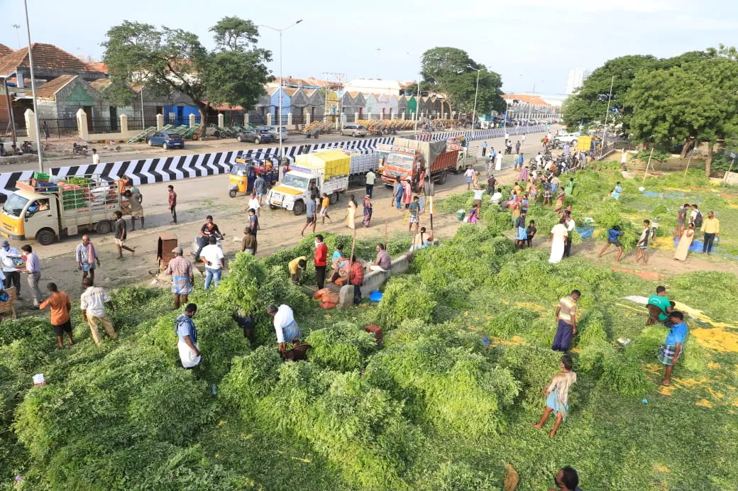 Koyambedu Market Opening Images