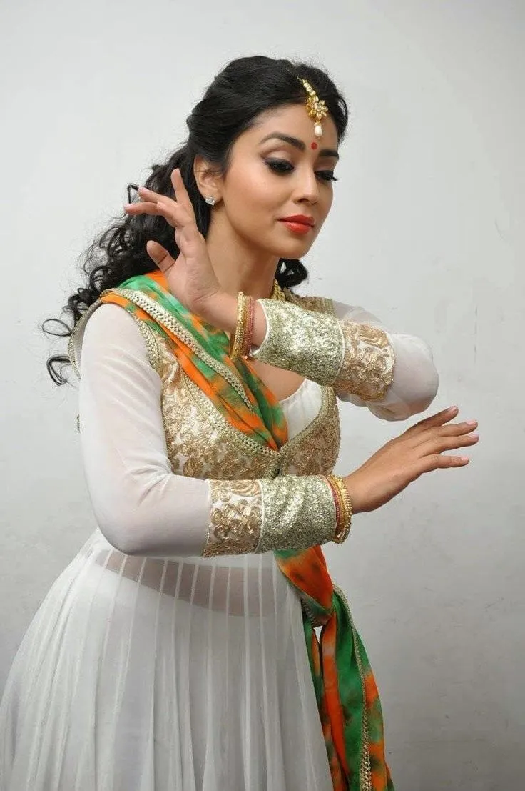 Tamil Actress who are classical dancers shriya saran
