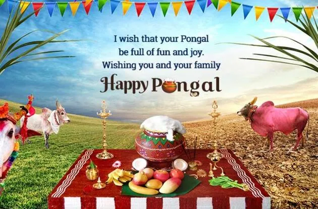 Pongal Wishes to Family