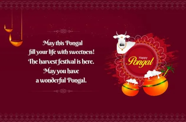 Pongal for Farmers Wishes