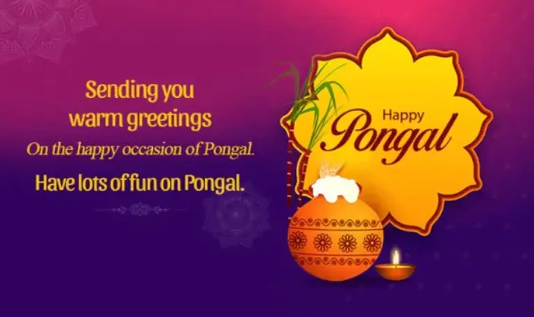 Pongal Wishes Cards