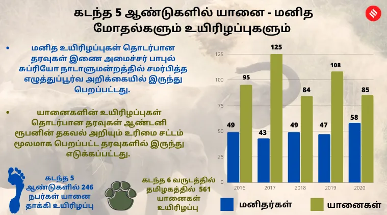 Nilgiris News Human animal conflicts deaths of elephants and humans