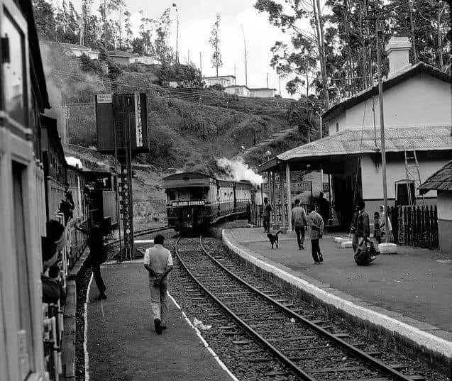  Nilgiri Mountain Railway for monetization 