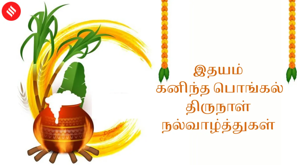 Pongal 2022 celebration whatsapp wishes messages pictures 