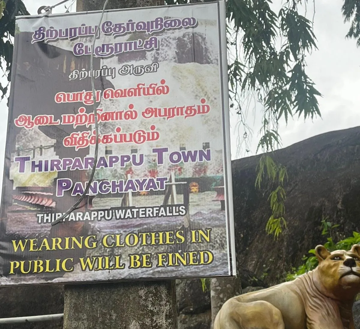 வைரலாகும் திற்பரப்பு அறிவிப்பு பலகை<br />
