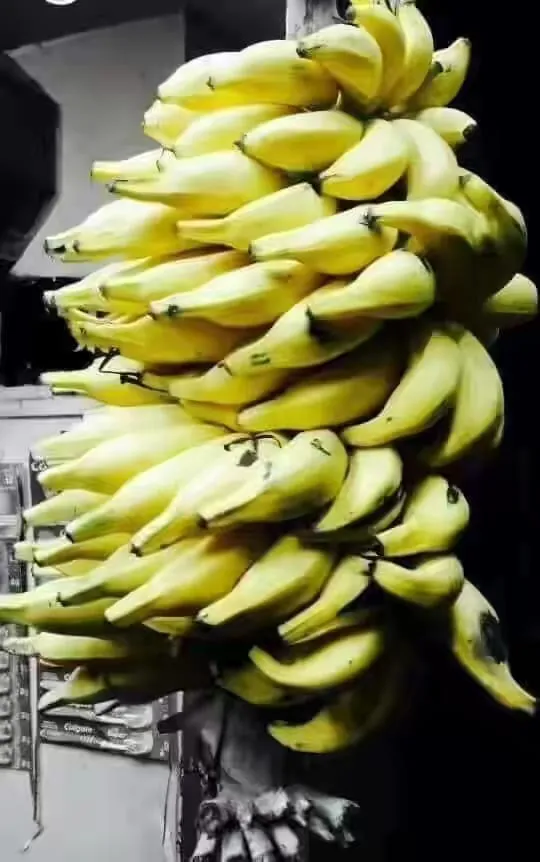 GI tag for Kanyakumari Matti banana 