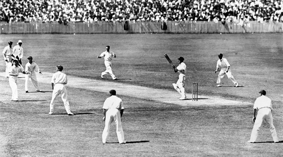 Cricket