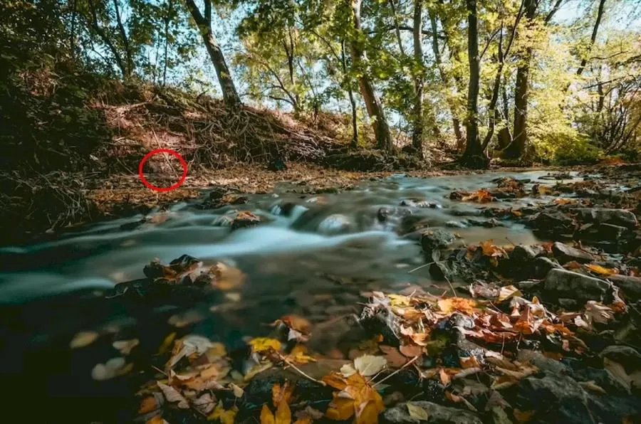 publive-image