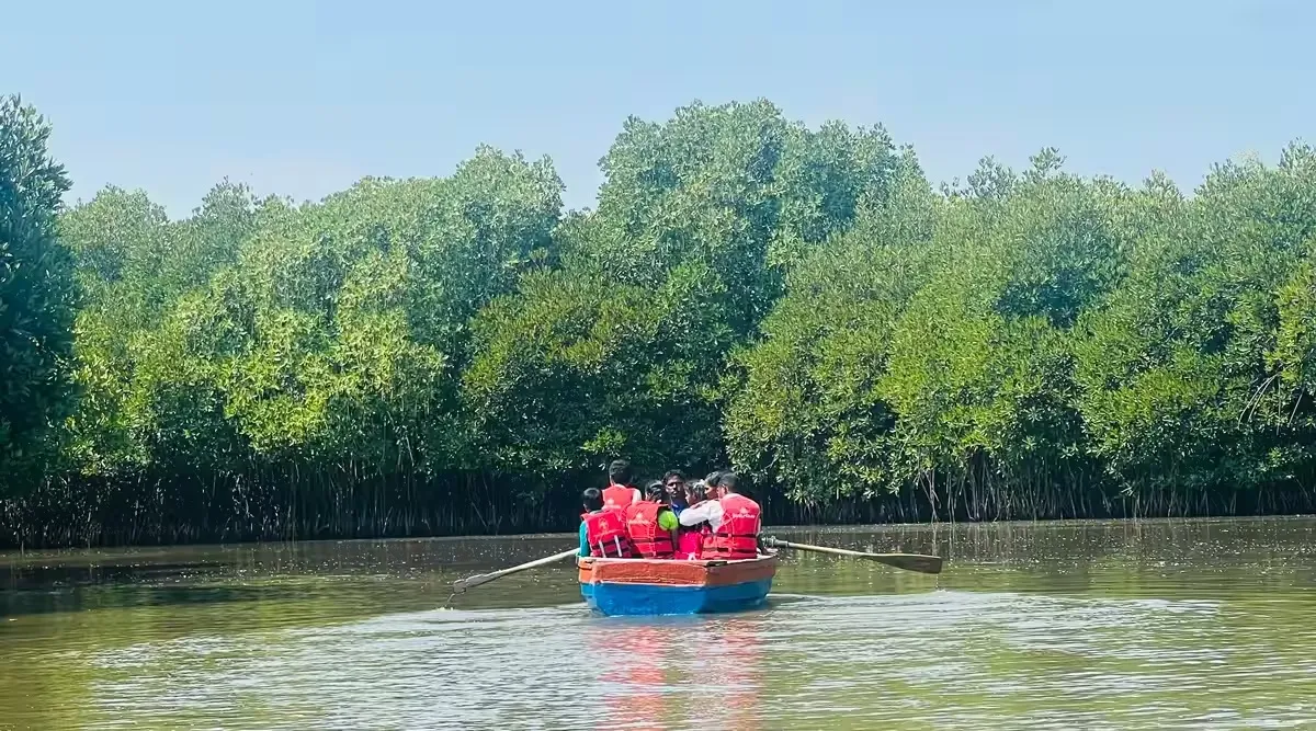 Pichavaram mangrove boat ride