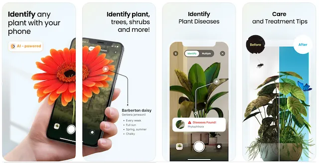 Plant app plant identifier