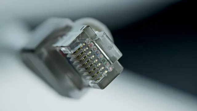 publive-image
