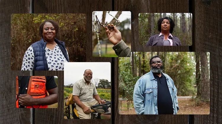 Apple, The Conservation Fund partner to scale sustainable land retention