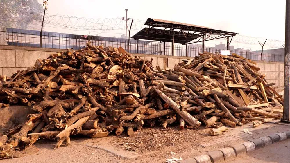 Wood piled in front of the Old Seemapuri Cremation Ground | The Probe