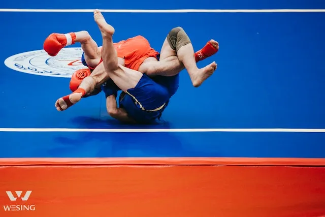 Wrestling 