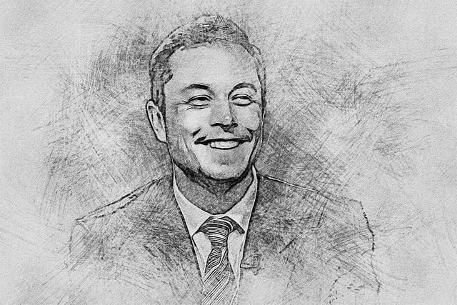 Elon Musk's